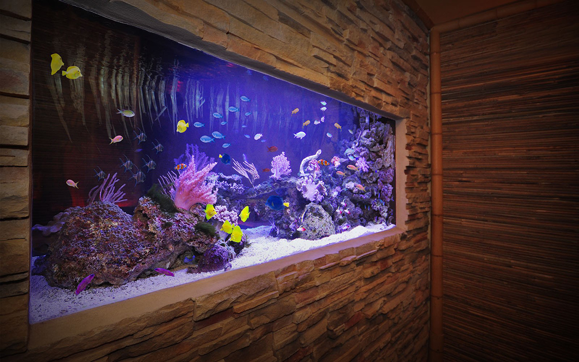 aquarium-architecture-urban-bar-06-1600x1000